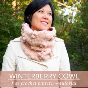 Winterberry泡泡龙兜帽免费钩针图案